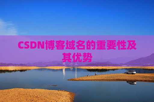 CSDN博客域名的重要性及其优势